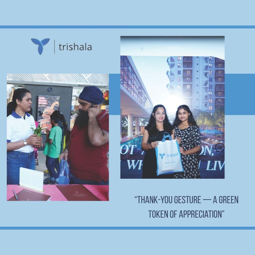 Thank-You Gesture – A Green Token of Appreciation